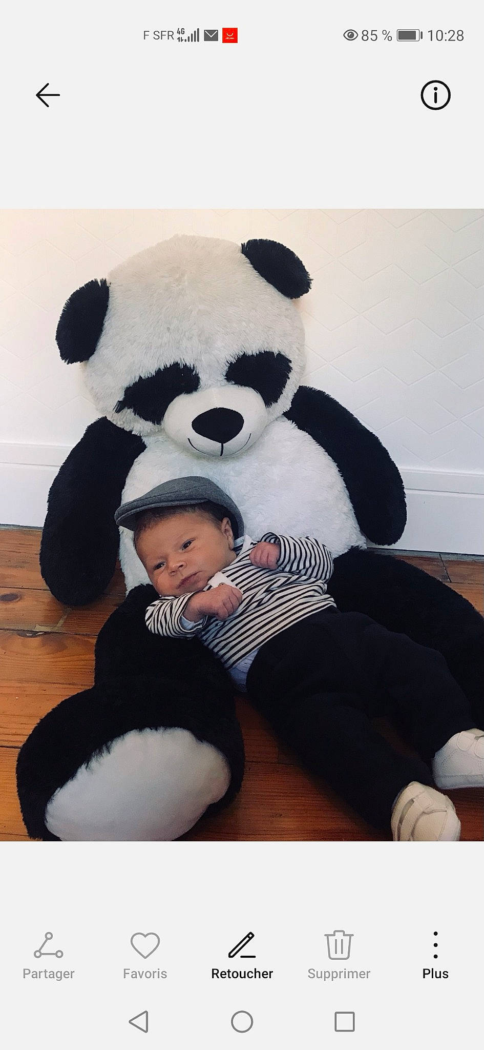 Hugo a rejoint le concours — aidez-le/la à gagner de superbes lots ! bear, carnivore, child, comfort, companion_dog, fun, fur, happy, head, mascot, panda, person, plush, sleeve, smile, snout, stuffed_toy, teddy_bear, terrestrial_animal, textile