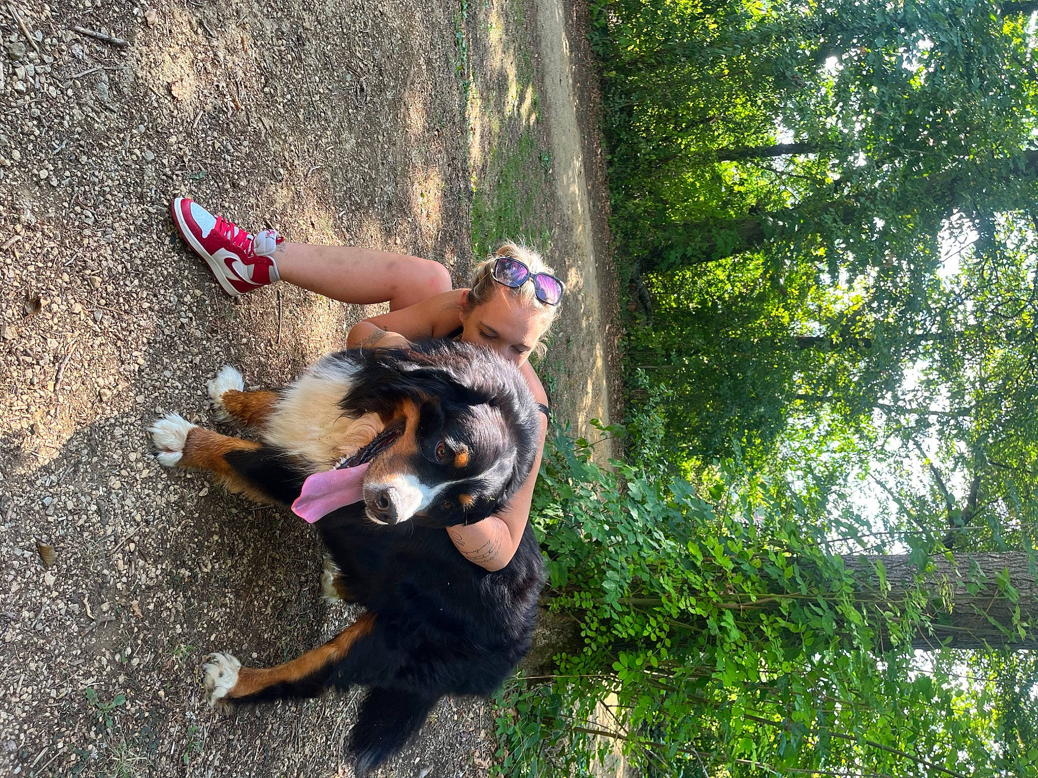 Mylo a rejoint le concours — aidez-le/la à gagner de superbes lots ! asphalt, carnivore, companion_dog, dog, dog_breed, fawn, fun, grass, guard_dog, human_leg, leisure, people_in_nature, plant, recreation, sporting_group, tail, thigh, tree, trunk, working_dog