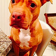 Coco is registered to the contest to win money with this photo: