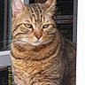 Pilous participe au concours pour gagner de l'argent avec cette photo :