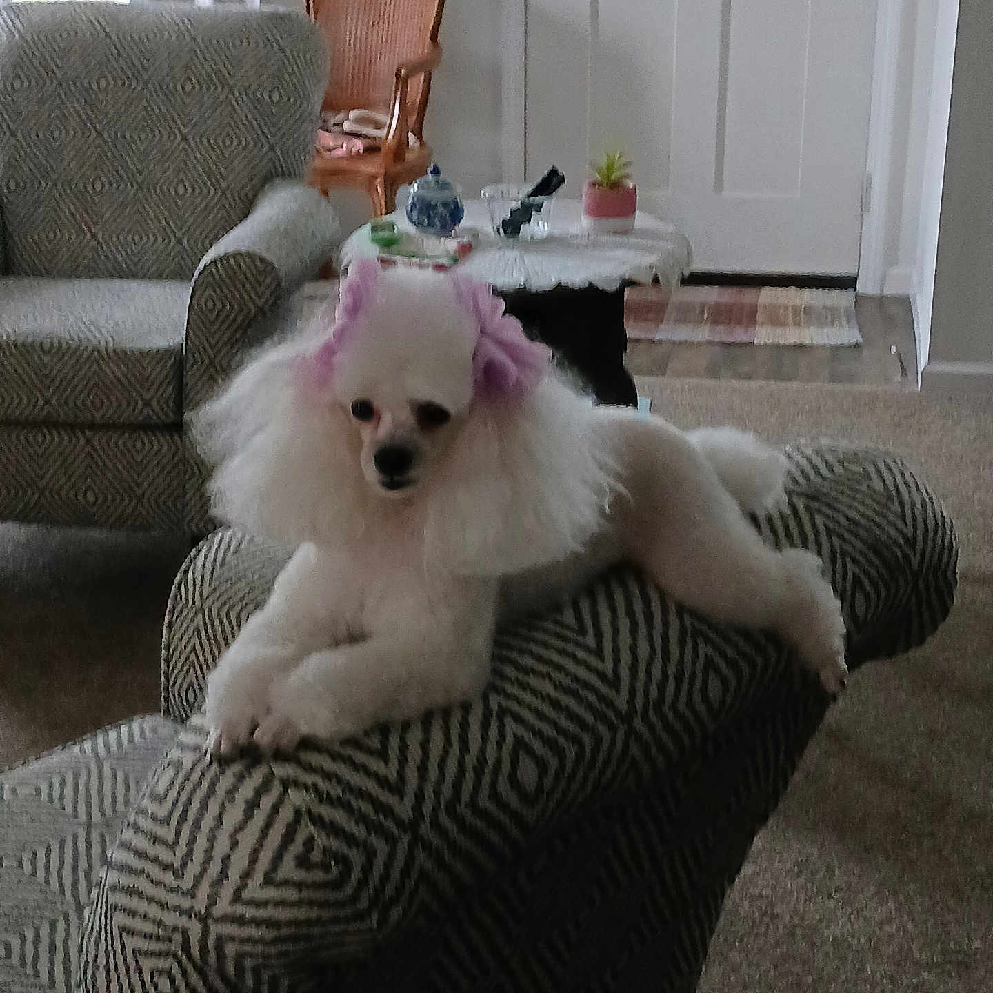 Precious