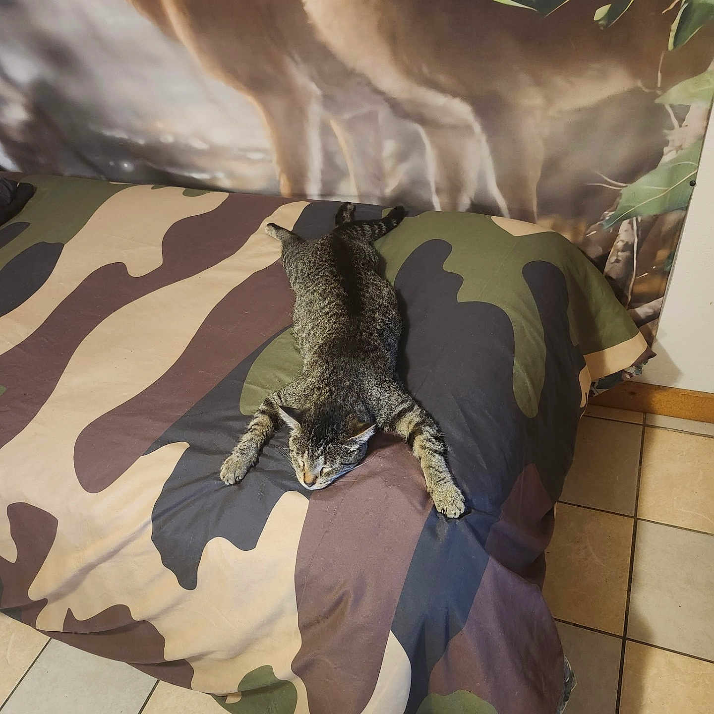 Kitty joined the competition — help win amazing prizes! animal, bed, bedspread, brown, camouflage, cat, cozy, decor, deer, feline, green, home, indoor, mural, pattern, relaxed, resting, tabby, tile_floor, wall_art
