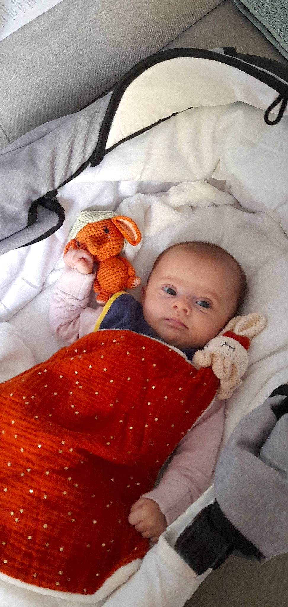 Roxane participe au concours pour gagner de l'argent avec cette photo : baby, baby_products, baby_safety, baby_sleeping, baby_toddler_clothing, bedding, child, comfort, fur, human, linens, mammal, orange, pattern, person, product, room, skin, sleeve, textile