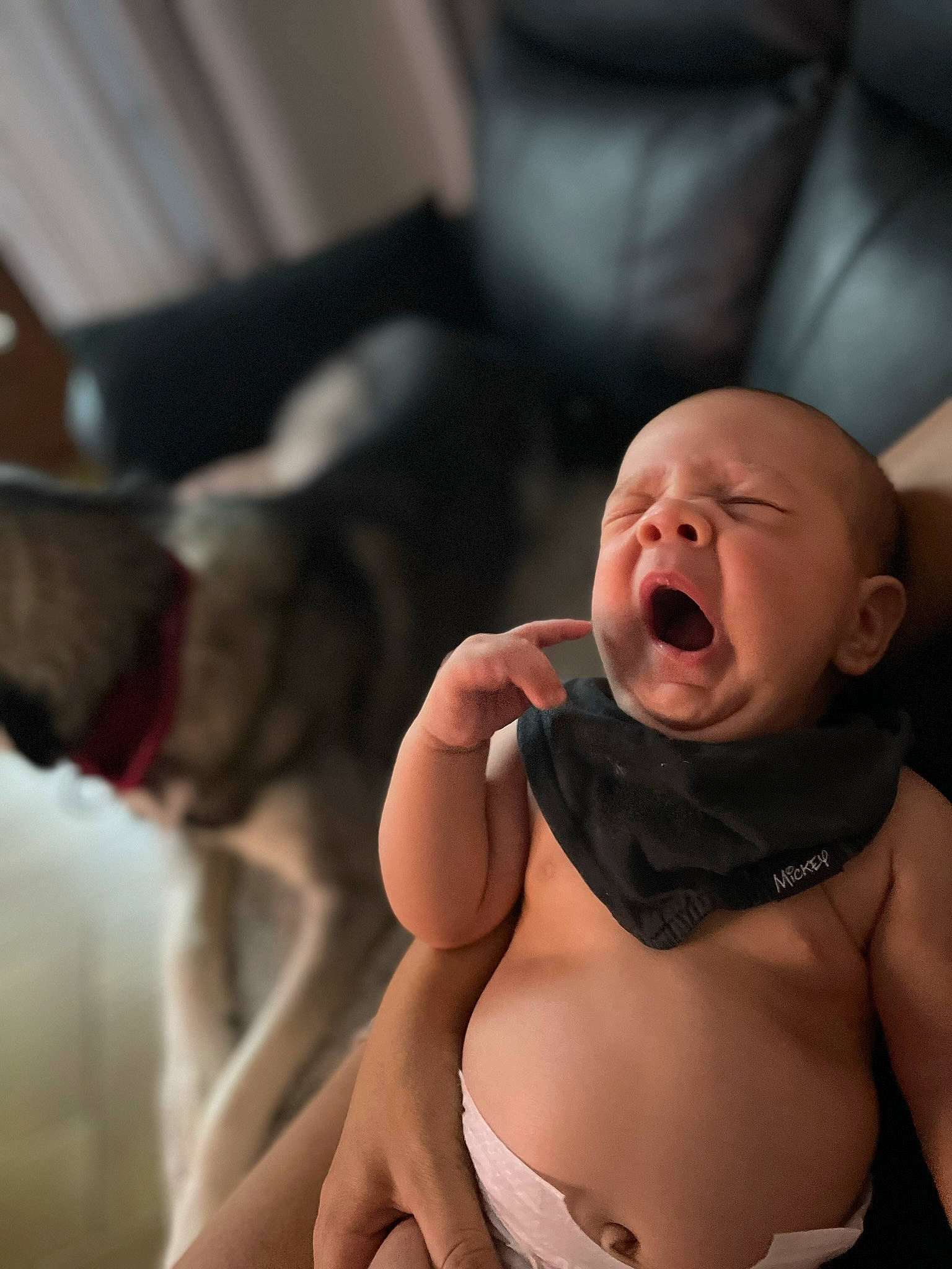 Andy participe au concours pour gagner de l'argent avec cette photo : abdomen, arm, baby, baby_toddler_clothing, cheek, chest, comfort, finger, gesture, happy, human_body, lip, mouth, nail, neck, person, skin, stomach, thumb, toddler