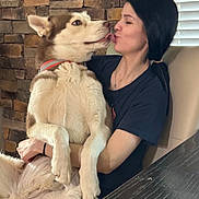 King is registered to the contest to win money with this photo: woman, dog, husky, pet, indoor, affection, love, licking, holding, brick_wall, casual_clothing, black_hair, table, chair, collar, furry, cute, companion, friendship, happy