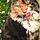 Duchesse