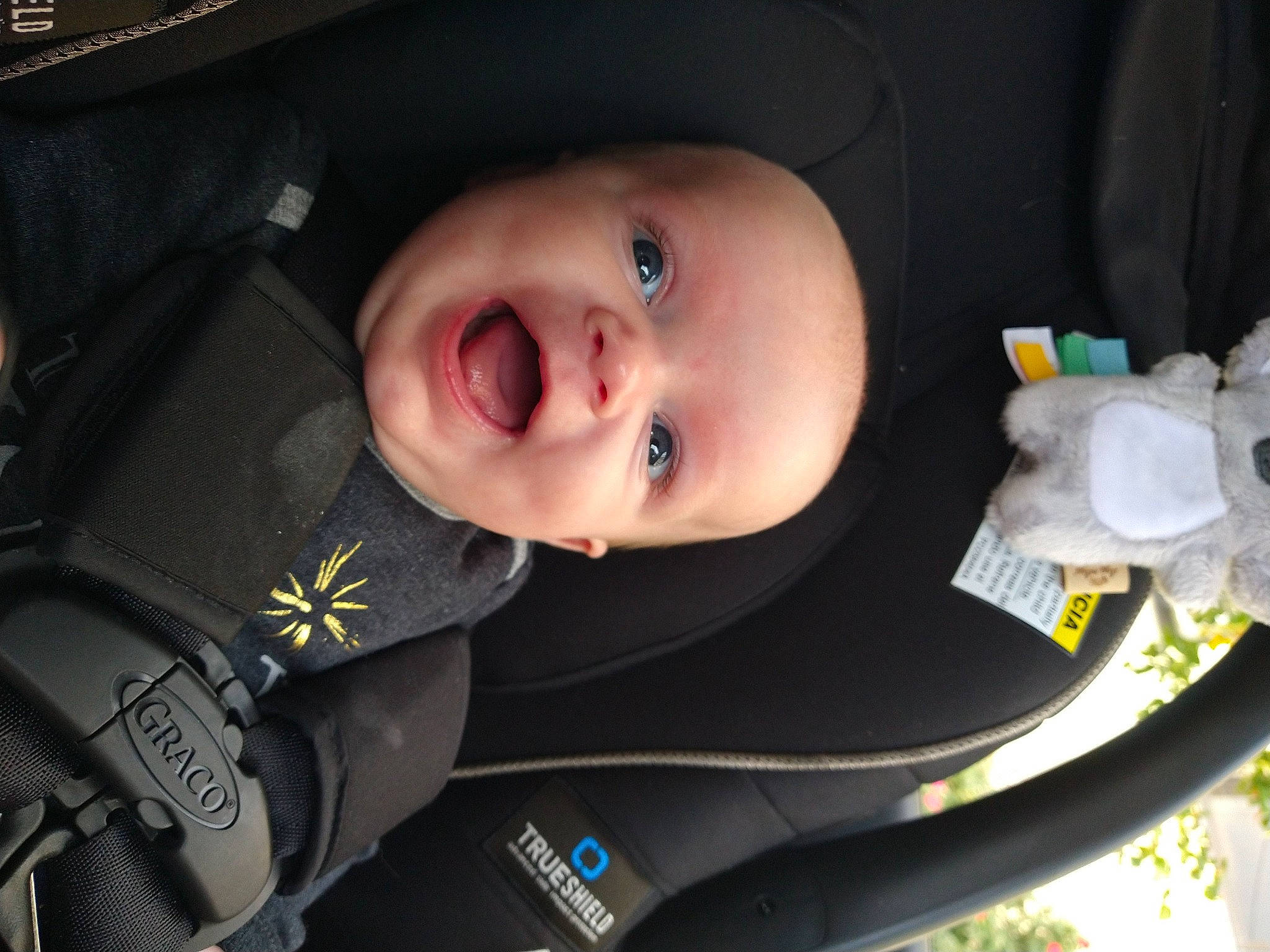 Johnathon joined the competition — help win amazing prizes! auto_part, baby, baby_carriage, baby_products, baby_toddler_clothing, black, car_seat, cheek, child, electric_blue, eyebrow, flash_photography, iris, nose, outerwear, people, person, skin, smile, toddler