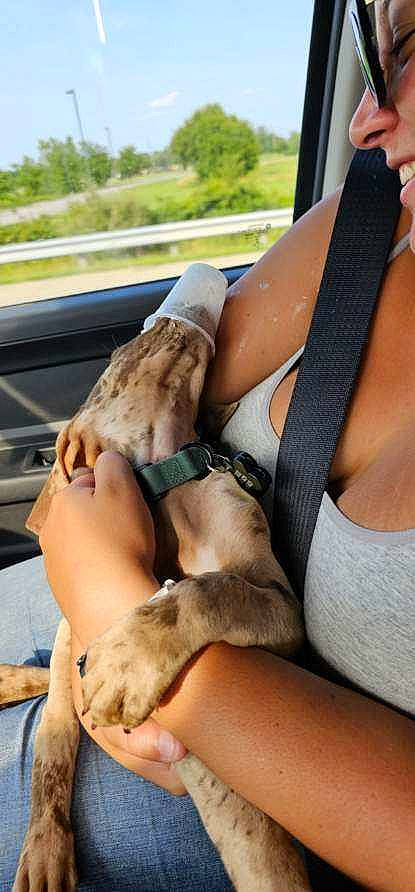 Maverick joined the competition — help win amazing prizes! abdomen, brassiere, calf, chest, comfort, elbow, eyewear, foot, human_leg, joint, knee, long_hair, sportswear, sunglasses, thigh, trunk, undergarment, waist, wrist