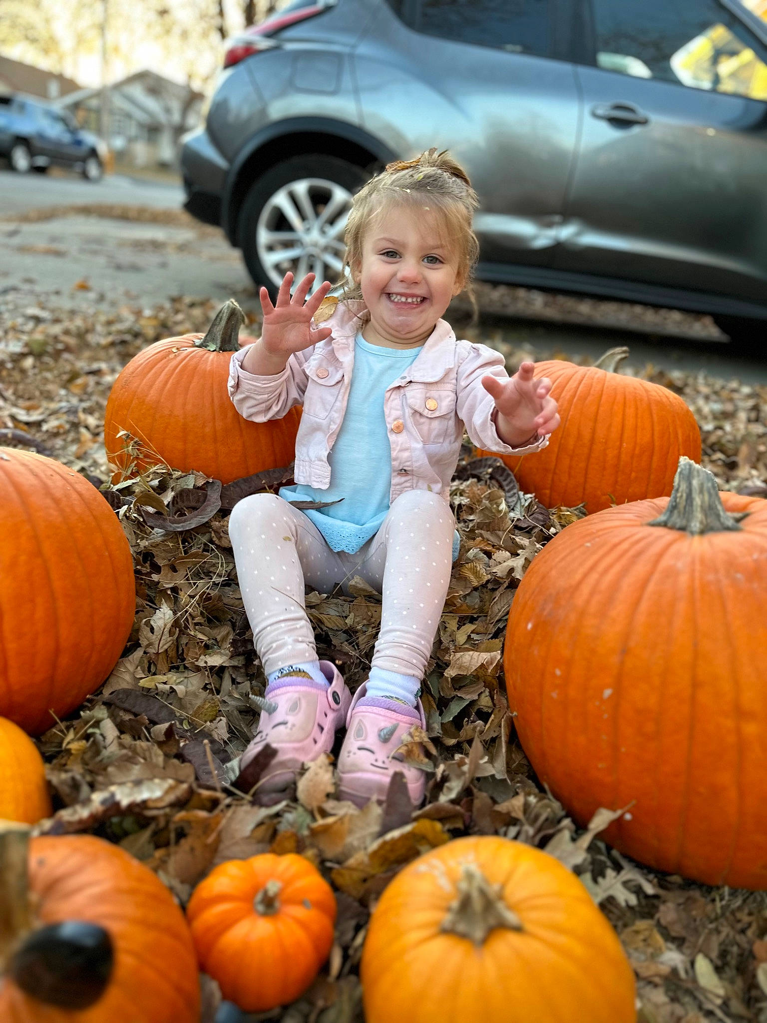 Sawyer is registered to the contest to win money with this photo: calabaza, car, facial_expression, food, gourd, grass, joy, leaf, local_food, natural_foods, nature, orange, people, person, photograph, plant, pumpkin, smile, squash, tire