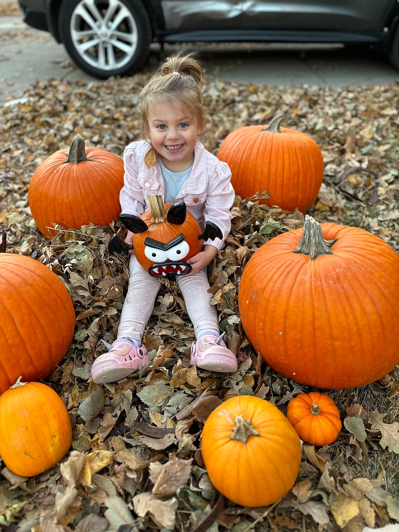 Sawyer is registered to the contest to win money with this photo: automotive_tire, calabaza, eye, facial_expression, food, gourd, human_body, joy, natural_foods, nature, orange, person, photograph, plant, pumpkin, smile, squash, tire, wheel, whole_food