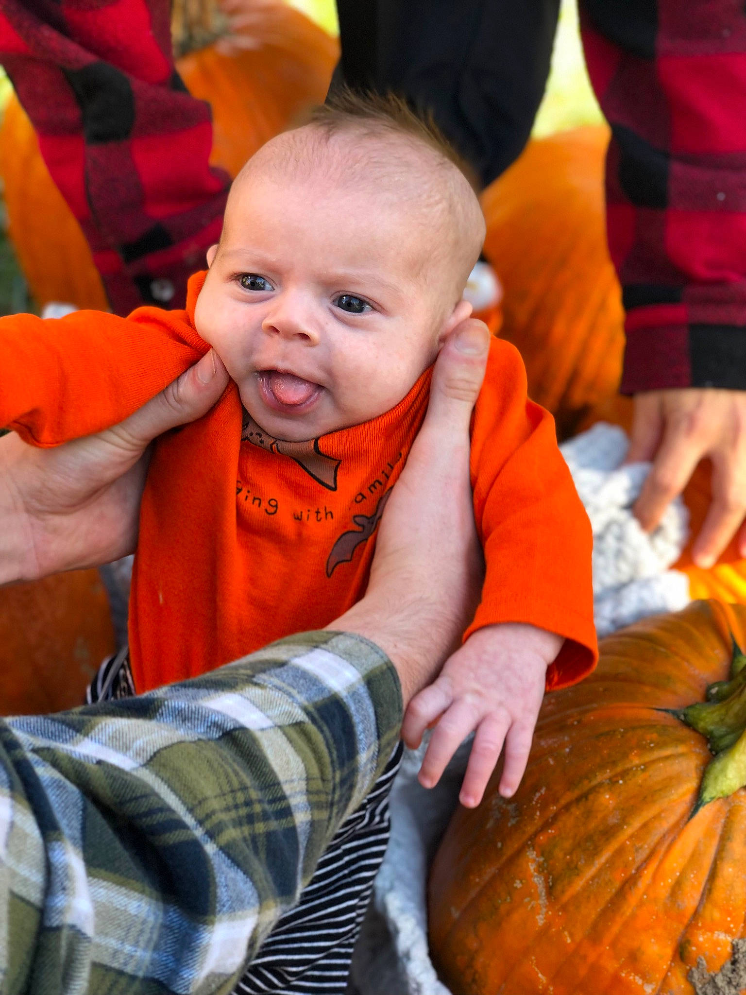 Aaron is registered to the contest to win money with this photo: baby, calabaza, child, cucurbita, eye, facial_expression, finger, gourd, hand, happy, head, natural_foods, orange, people, person, plant, pumpkin, squash, toddler, winter_squash