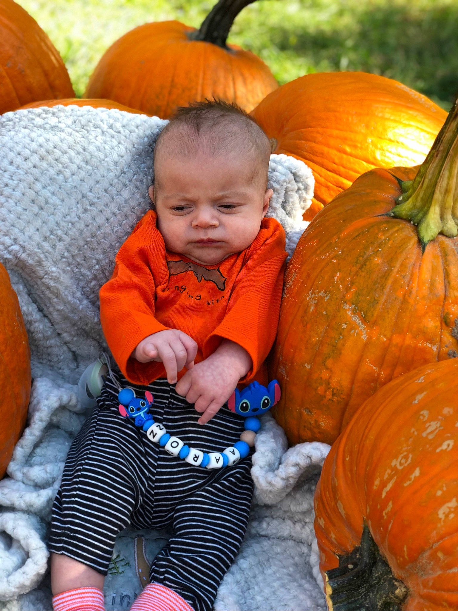 Aaron joined the competition — help win amazing prizes! baby_toddler_clothing, calabaza, comfort, cucurbita, eye, facial_expression, gourd, grass, green, head, iris, leaf, natural_foods, orange, people_in_nature, person, plant, pumpkin, squash, toddler