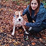 woman, person, dog, puppy, pet, outdoor, forest, autumn, fallen_leaves, leaves, nature, portrait, crouching, blue_jacket, red_hair, collar, leash, brown_and_white, animal, companionship