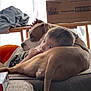 Harleigh And Delilah joined the competition — help win amazing prizes! abdomen, baby, barechested, chest, child, comfort, companion_dog, eye, happy, human_body, human_leg, leg, leisure, linens, pillow, room, sitting, thigh, toddler, trunk
