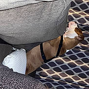 Harleigh And Delilah is registered to the contest to win money with this photo: abdomen, bag, calf, comfort, denim, elbow, foot, grey, human_leg, knee, leg, linens, nail, pattern, sleeve, sportswear, street_fashion, thigh, waist, wrist