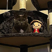 Mr.kitty joined the competition — help win amazing prizes! cat, cat_tree, cozy, ears, eyes, fur, gray_cat, home_interior, indoor, looking_at_camera, pet, plush_character, plush_toy, portrait, scratching_post, shelf, sitting, stuffed_animal, toy, whiskers