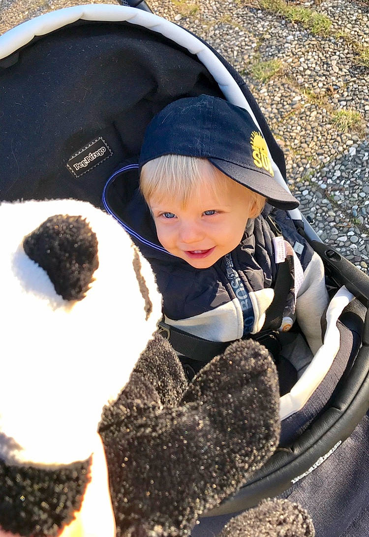 Thiago participe au concours pour gagner de l'argent avec cette photo : child, person, product, soil