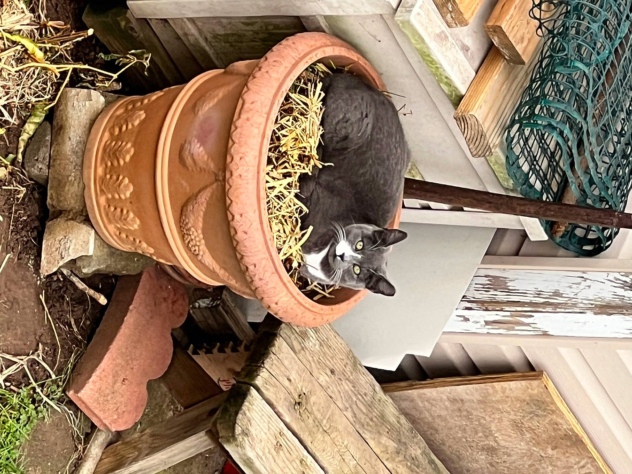 Cindy is registered to the contest to win money with this photo: art, circle, machine, metal, pattern, sculpture, shelf, visual_arts, wood