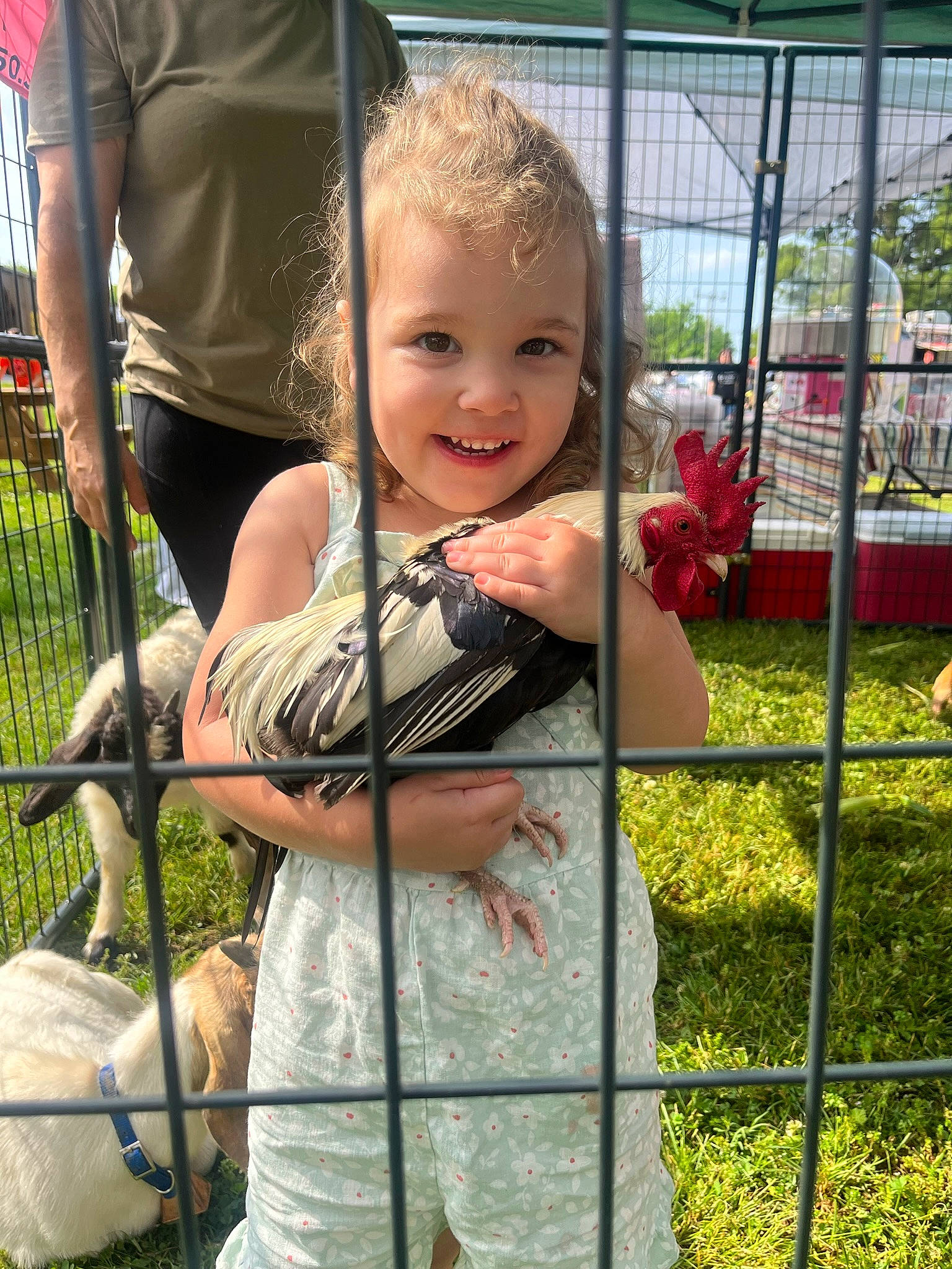 Eden is registered to the contest to win money with this photo: baby, child, fence, fun, garden, grass, happy, human_body, human_settlement, joy, leisure, pattern, people_in_nature, person, plant, product, recreation, shorts, smile, t_shirt