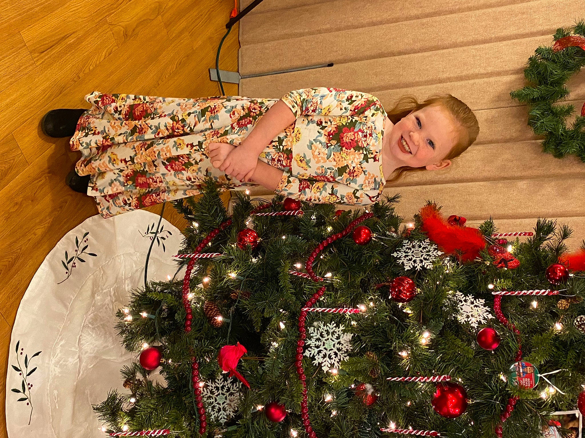 Kyliebeth is registered to the contest to win money with this photo: christmas, christmas_decoration, christmas_eve, christmas_ornament, christmas_tree, dress, event, evergreen, floral_design, happy, holiday, holiday_ornament, human_body, joy, lap, ornament, person, plant, smile, tradition