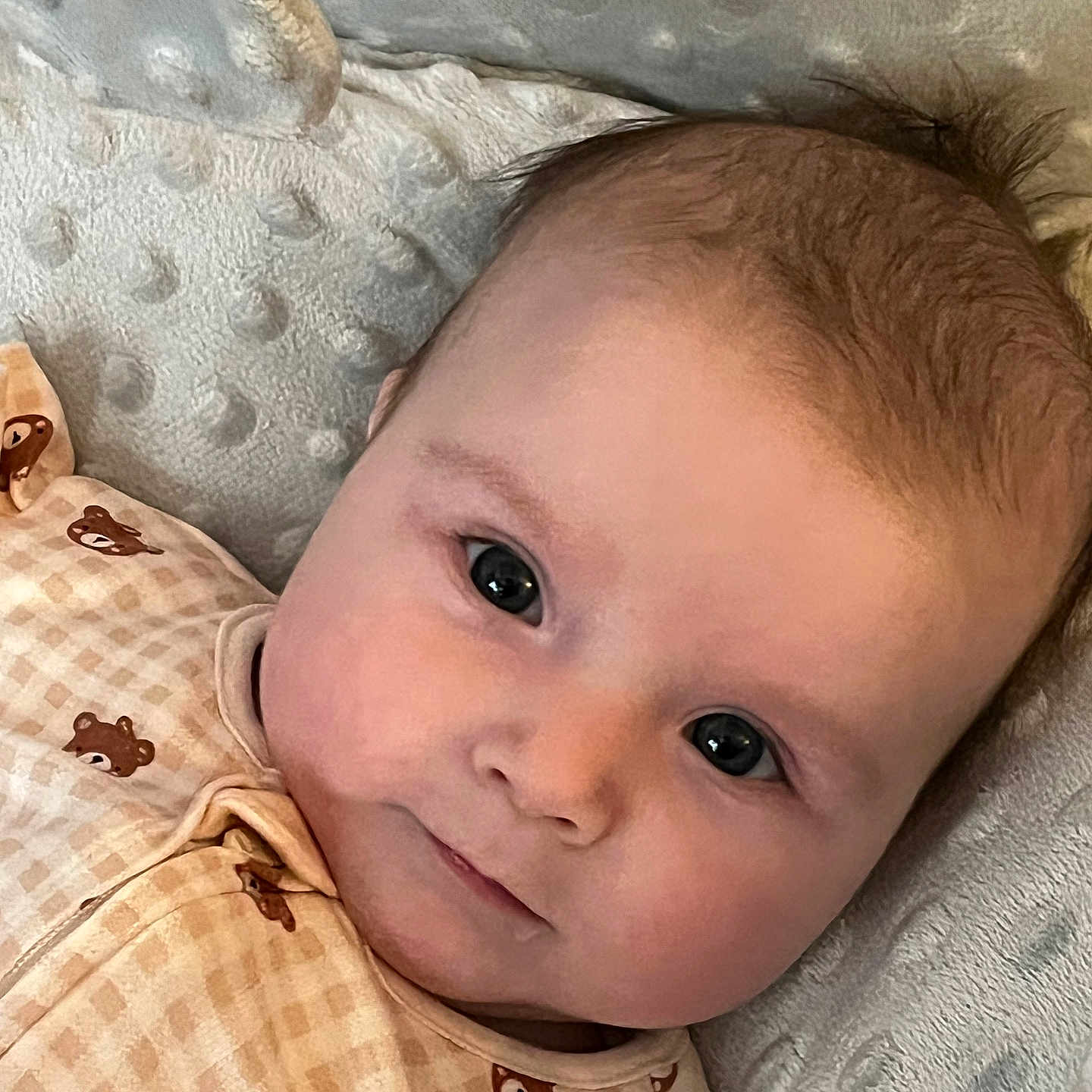 Calleigh is registered to the contest to win money with this photo: baby, bear_pattern, blanket, child, closeup, clothing, cozy, cute, eyes, face, head, indoors, infant, lying_down, newborn, portrait, skin, smile, soft_light, texture