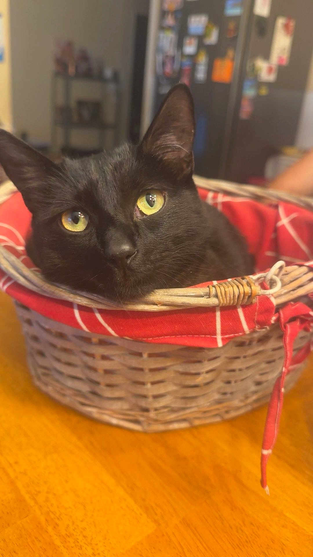Pumba