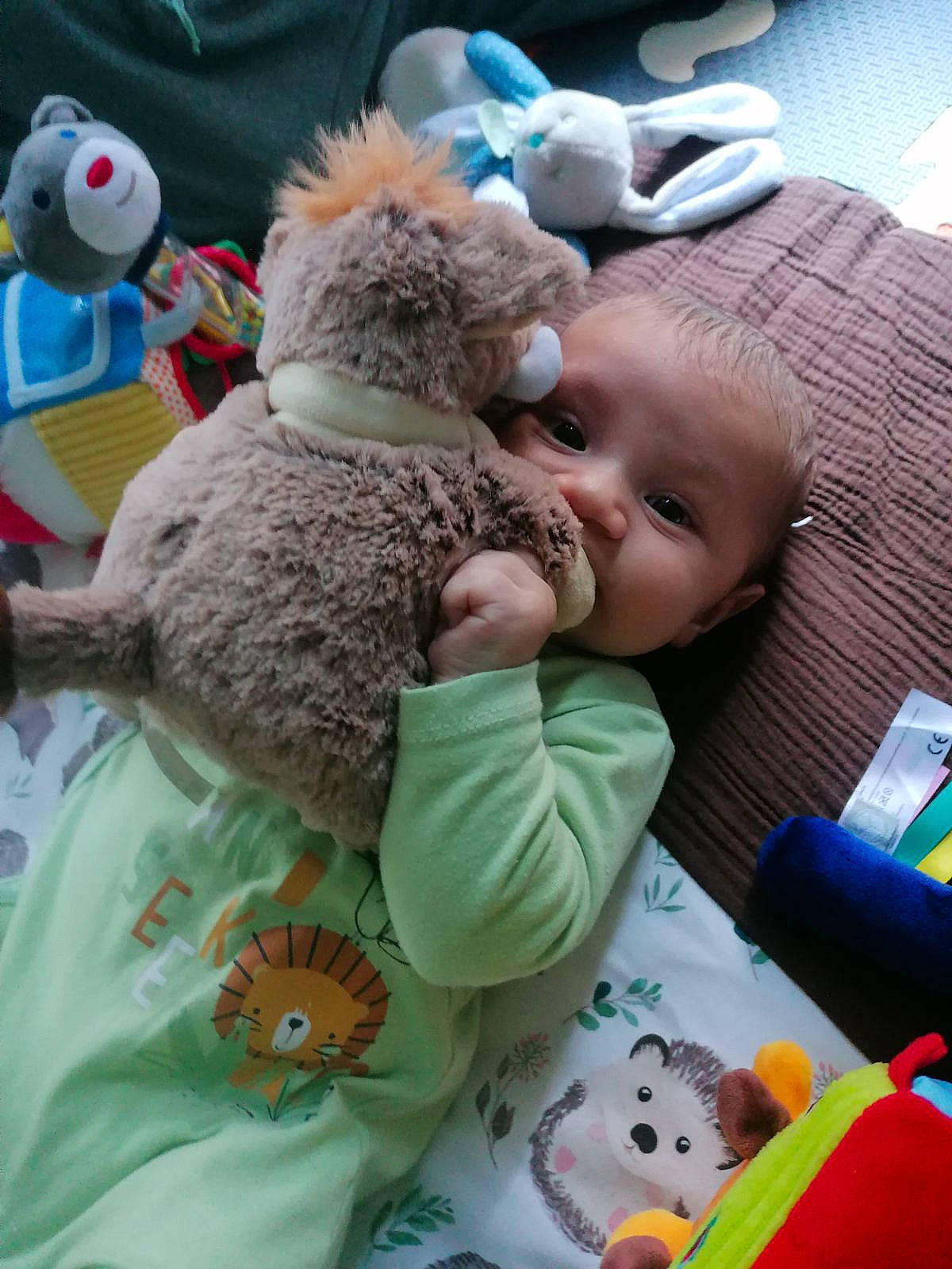 Lucas participe au concours pour gagner de l'argent avec cette photo : baby, baby_products, baby_sleeping, baby_toddler_clothing, baby_toys, blue, child, comfort, gesture, green, linens, mammal, person, room, skin, stuffed_toy, teddy_bear, textile, toddler, toy