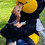 Vista a rejoint le concours — aidez-le/la à gagner de superbes lots ! dog, costume, bee, outdoor, grass, person, playful, animal, pet, nature, sunlight, fun, cute, interaction, friendship, animal_costume, happiness, canine, park, daytime