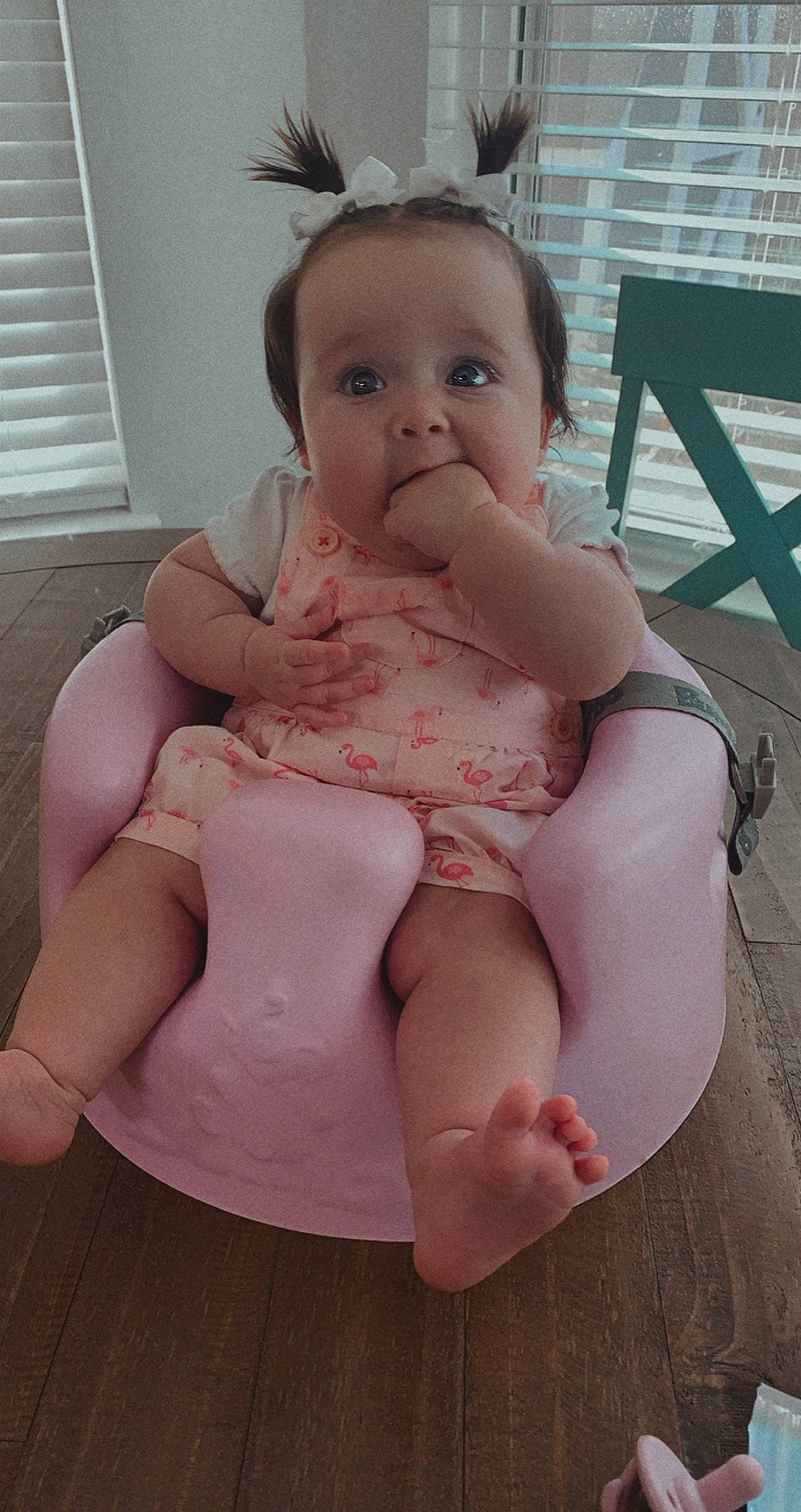 Berkley is registered to the contest to win money with this photo: baby, baby_toddler_clothing, cheek, child, face, head, leg, lip, person, pink, sitting, skin, thigh, toddler