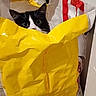 Coco Et Maggie a rejoint le concours — aidez-le/la à gagner de superbes lots ! cat, black_and_white, curious, peeking, yellow_bag, plastic_bag, indoor, close_up, pet, whiskers, playful, eyes, feline, mischievous, household, container, crinkled, hiding, domestic_animal, cute