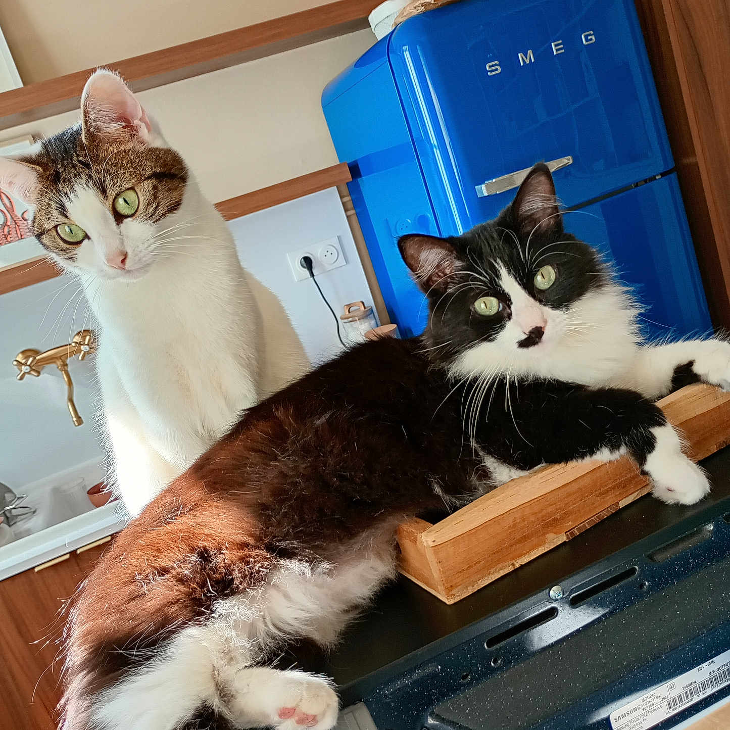 Coco Et Maggie