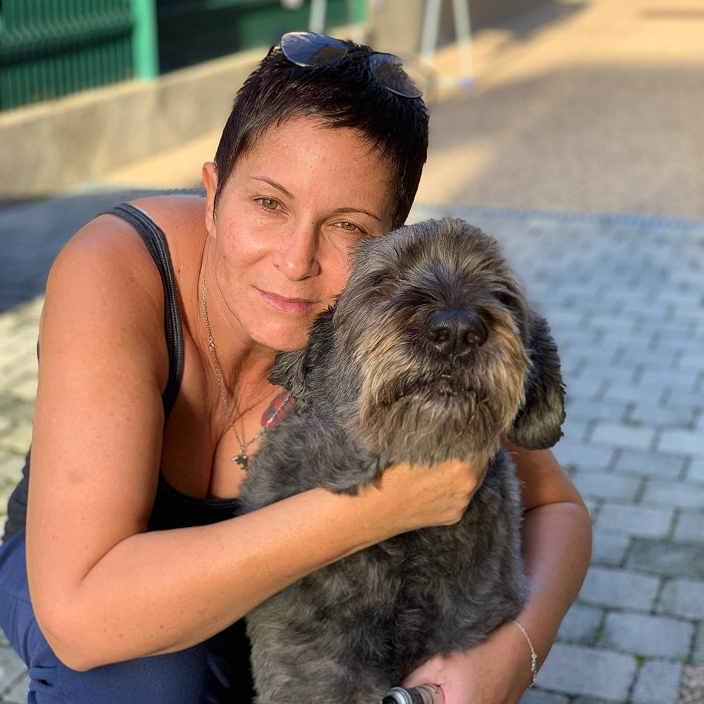 Mamour a rejoint le concours — aidez-le/la à gagner de superbes lots ! affenpinscher, border_terrier, cairn_terrier, carnivoran, companion_dog, dog, dog_breed, dog_breed_group, dog_like_mammal, fur, miniature_schnauzer, person, sapsali, schnauzer, schnoodle, snout, terrier