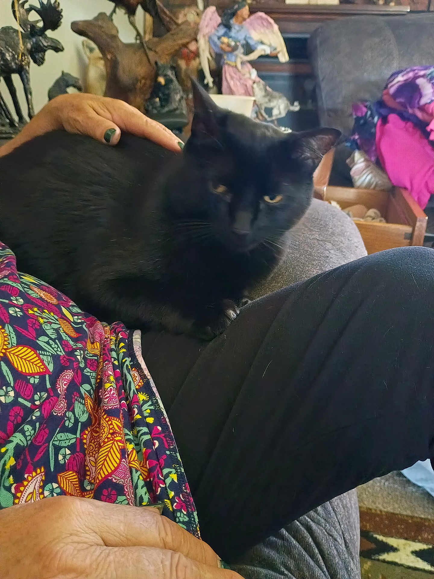 Pw Or Mama joined the competition — help win amazing prizes! black_cat, cat, lap, hand, person, colorful_clothing, figurines, decorations, couch, blanket, indoor, pet, furniture, relaxing, home, animal, feline, comfort, resting, cozy