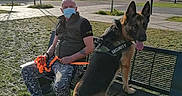 Rex a rejoint le concours — aidez-le/la à gagner de superbes lots ! dog, german_shepherd, security_dog, service_dog, person, man, face, mask, outdoor, park, bench, town_square, urban, street, buildings, trees, grass, sunny, leash, portrait