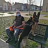 bench, buildings, dog, face, german_shepherd, grass, leash, man, mask, outdoor, park, person, portrait, security_dog, service_dog, street, sunny, town_square, trees, urban