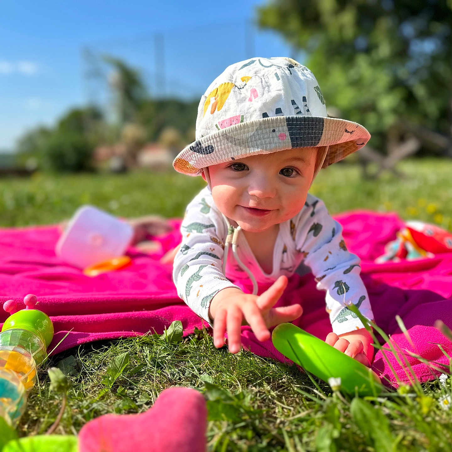 Adam participe au concours pour gagner de l'argent avec cette photo : baby, child, hat, grass, blanket, toy, outdoor, sunny, smiling, crawling, greenery, playtime, nature, infant, colorful, daylight, happy, casual_clothing, closeup, summer