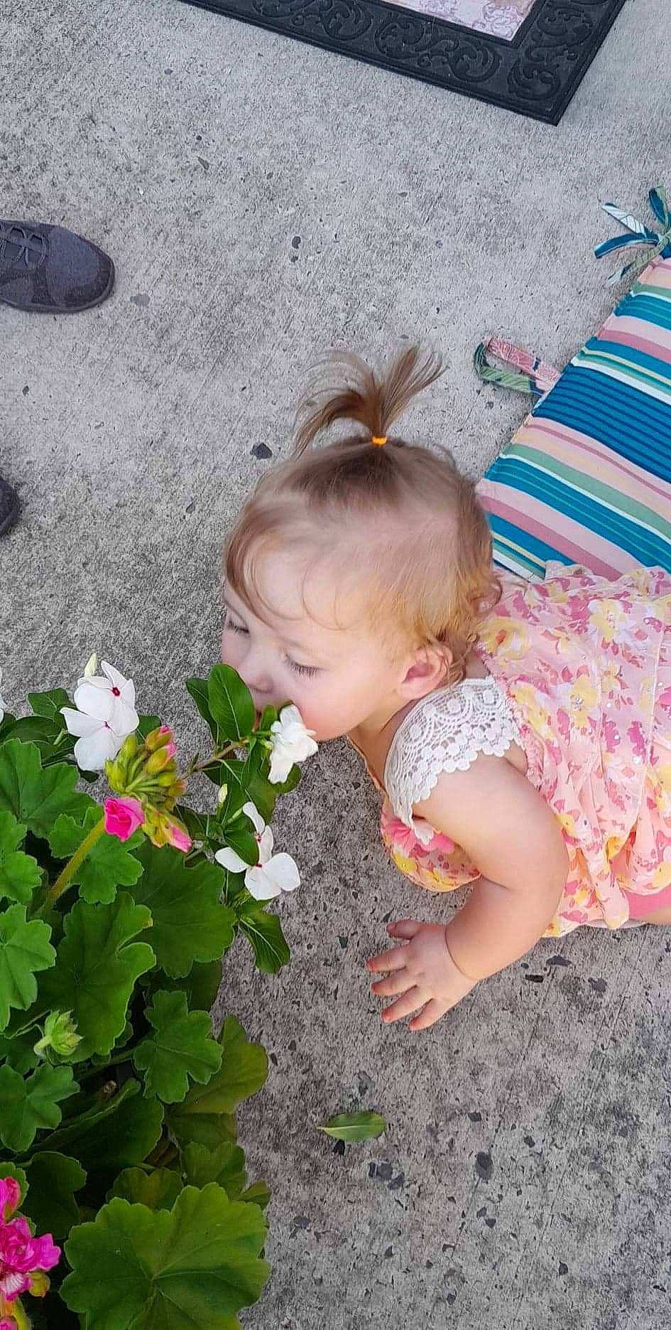 Laila joined the competition — help win amazing prizes! annual_plant, baby, baby_toddler_clothing, child, flower, flower_arranging, flowering_plant, grass, green, groundcover, happy, herbaceous_plant, iris, leaf, people_in_nature, person, petal, pink, plant, shrub