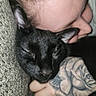 Loki joined the competition — help win amazing prizes! black_cat, cat, person, tattoo, hand, close_up, snuggling, cozy, indoor, face, feline, pet, animal, comfort, texture, skin, ring, napping, relaxation, warmth
