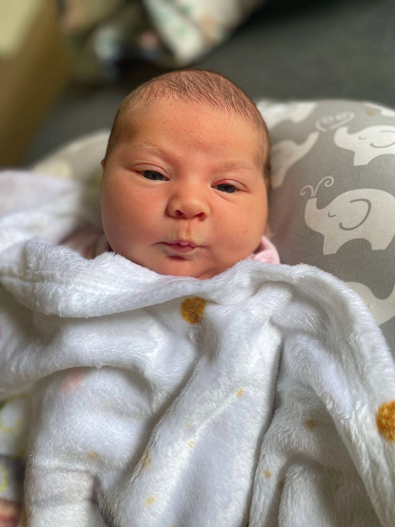 Winter joined the competition — help win amazing prizes! baby, baby_toddler_clothing, bedding, blanket, cheek, child, comfort, fur, linens, peach, person, room, skin, toddler