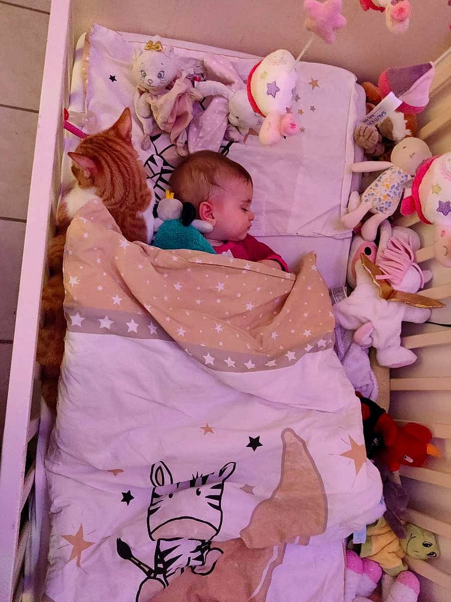 Jade a rejoint le concours — aidez-le/la à gagner de superbes lots ! baby, baby_products, baby_sleeping, baby_toddler_clothing, bed_sheet, bedding, bedtime, child, comfort, cradle, event, infant_bed, linens, magenta, pattern, peach, person, pink, purple, room