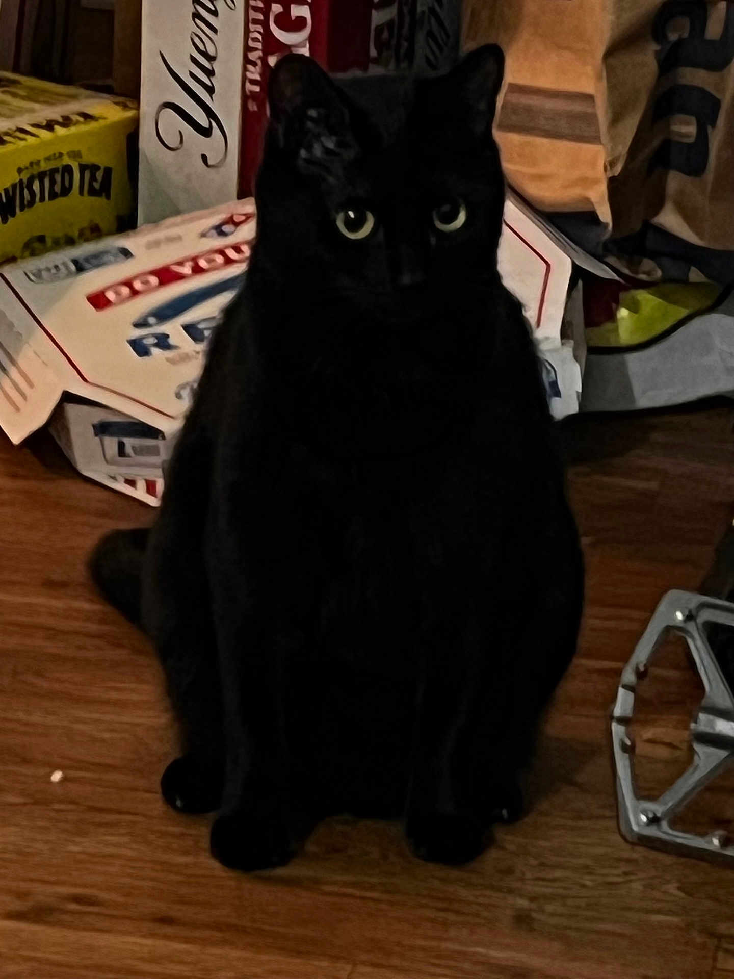Sabrina