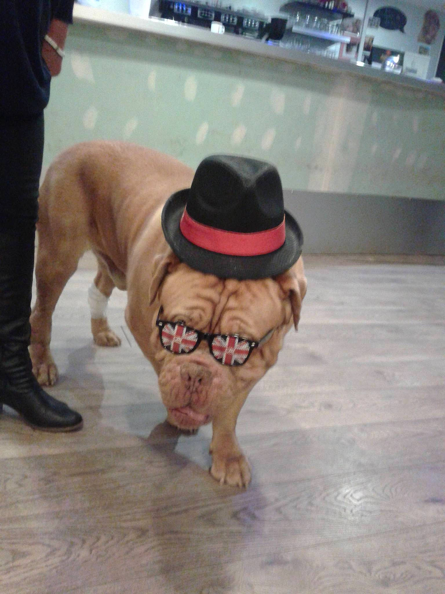 Héros participe au concours pour gagner de l'argent avec cette photo :