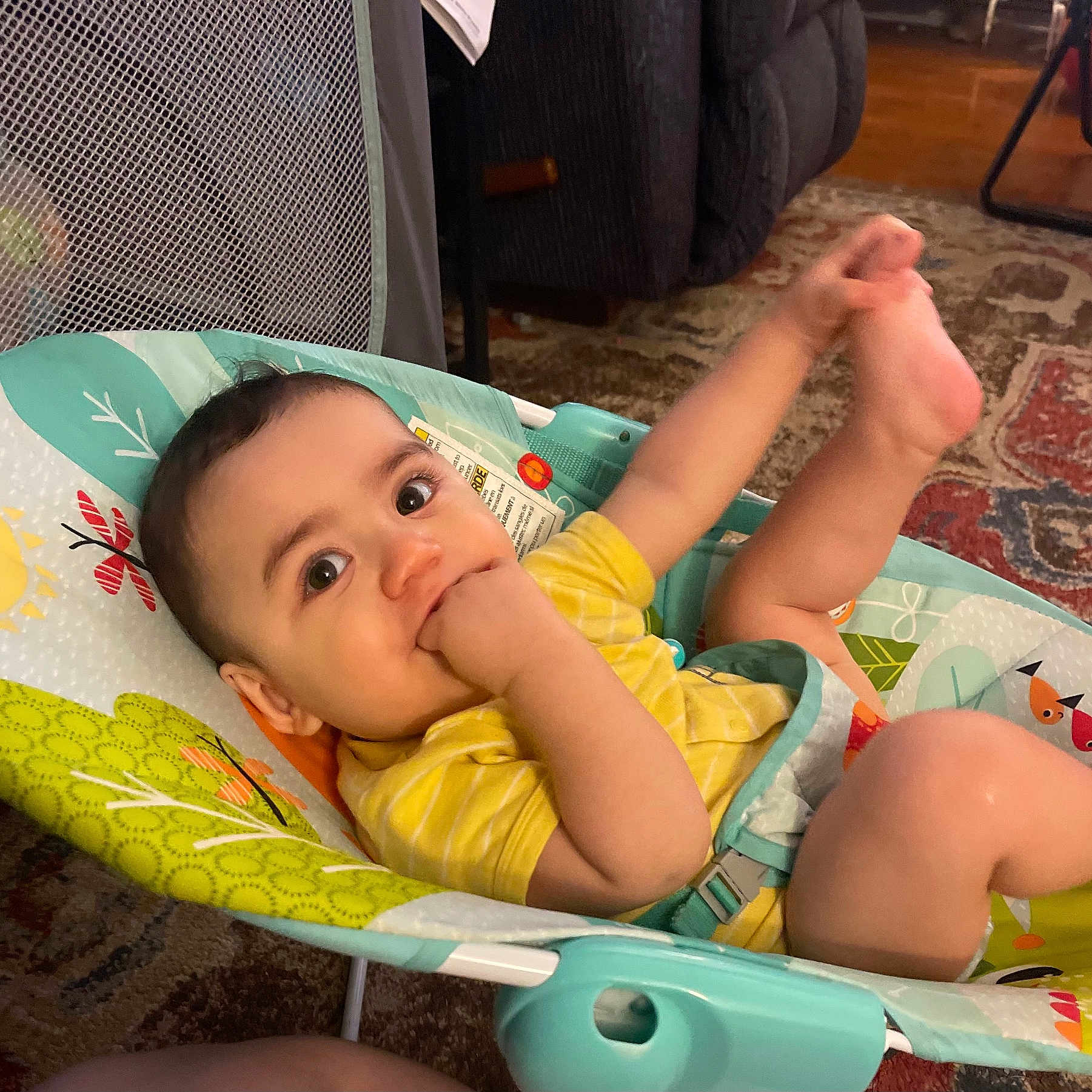 Adler is registered to the contest to win money with this photo: baby, baby_seat, carpet, child, colorful, comfortable, curly_hair, cute, foot_in_air, furniture, hand_in_mouth, happy, indoor, infant, patterned_rug, playful, portrait, seatbelt, yellow_shirt, young_child