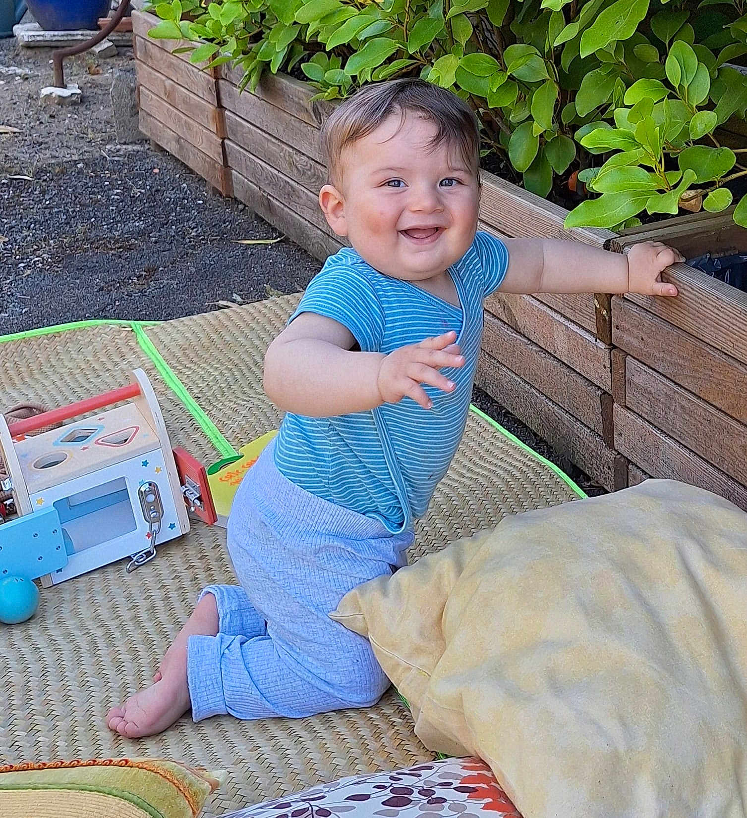 Samuel a rejoint le concours — aidez-le/la à gagner de superbes lots ! baby, child, smiling, outdoor, toy, mat, cushion, plant, greenery, wooden_planter, grass, happy, clothing, blue_shirt, pants, face, person, play, nature, daylight