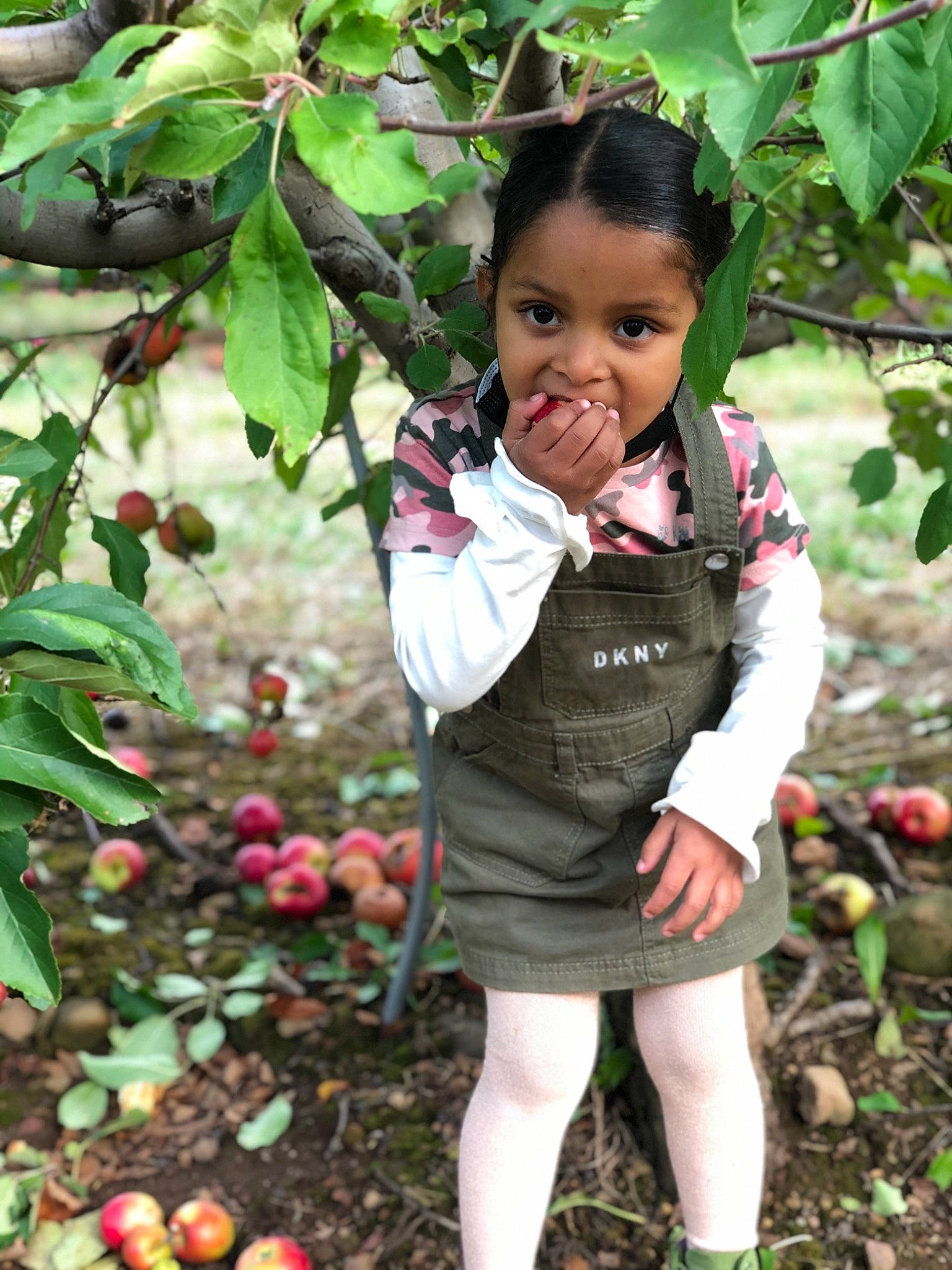 Jaliyah is registered to the contest to win money with this photo: apple, baby_toddler_clothing, botany, flowering_plant, fruit, garden, grass, happy, head, leaf, lip, people_in_nature, person, pink, plant, rose_family, sleeve, soil, terrestrial_plant, toddler