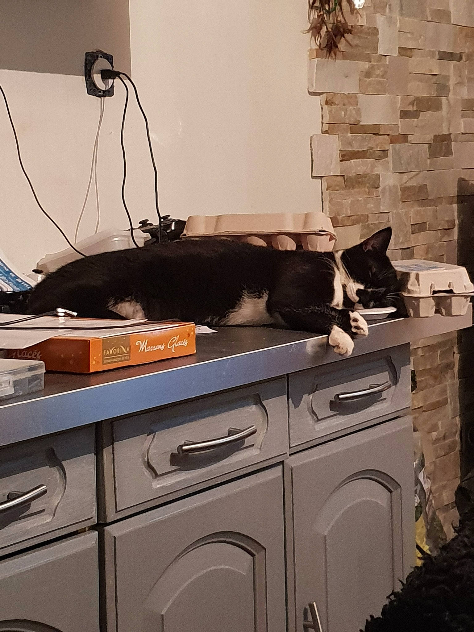 Suki a rejoint le concours — aidez-le/la à gagner de superbes lots ! chest_of_drawers, countertop, desk, furniture, gas_stove, home_appliance, interior_design, kitchen, kitchen_appliance, kitchen_stove, major_appliance, room, stove, table