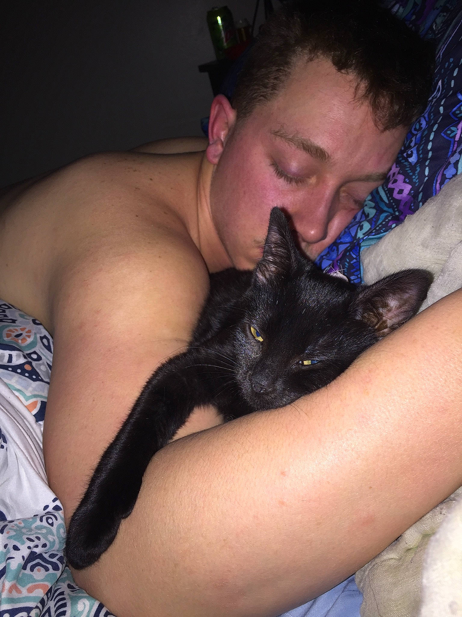 Binx is registered to the contest to win money with this photo: arm, black_cat, black_hair, carnivore, cat, felidae, leg, mouth, neck, person, small_to_medium_sized_cats, whiskers