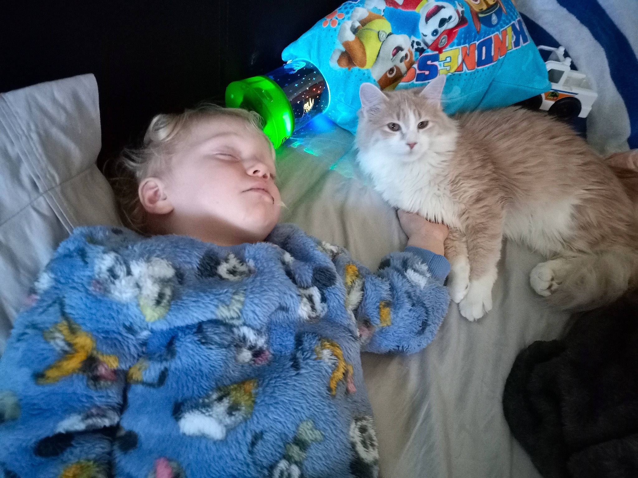 Kirk joined the competition — help win amazing prizes! baby, baby_toddler_clothing, carnivore, cat, child, comfort, domestic_short_haired_cat, fawn, felidae, fur, iris, linens, mammal, pattern, person, sitting, small_to_medium_sized_cats, tail, toddler, vertebrate