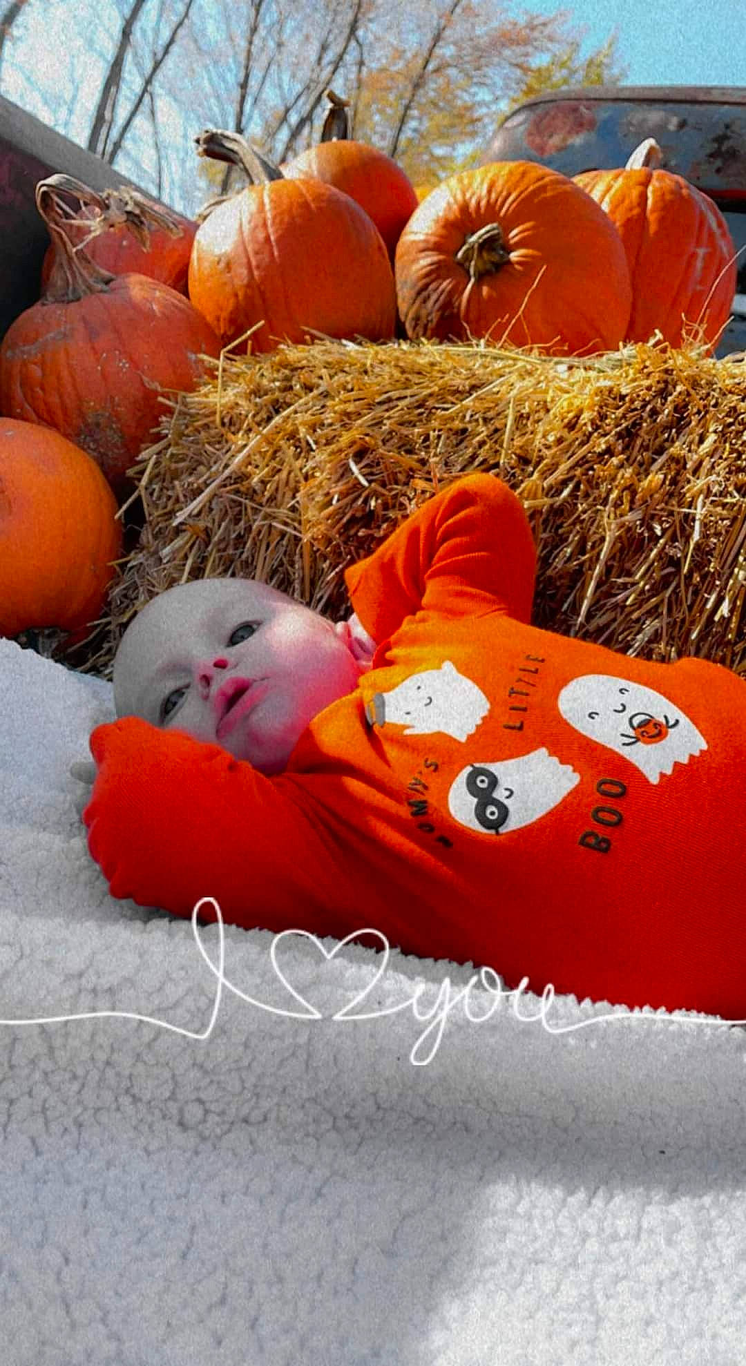 Jameson is registered to the contest to win money with this photo: baby, calabaza, comfort, cucurbita, flooring, food, fruit, gourd, grass, local_food, natural_foods, orange, person, plant, produce, pumpkin, squash, toddler, vegetable, whole_food
