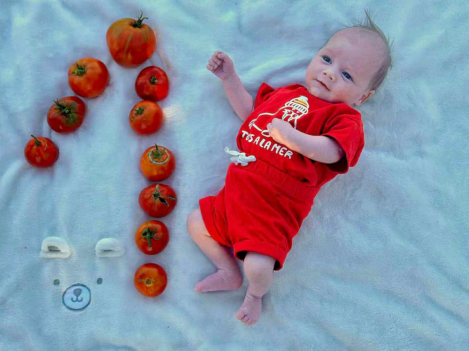 Gabin a rejoint le concours — aidez-le/la à gagner de superbes lots ! baby, infant, red_clothing, tomatoes, blanket, bunny_face, fruit, vegetables, arrangement, letter_n, cute, lying_down, soft_texture, outdoor, natural_light, playful, smiling, child, fresh, healthy